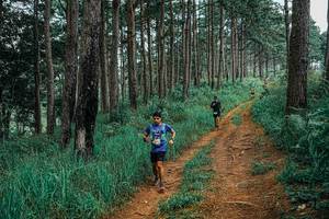 BIB: 
                            <button type="button" onclick="openModal(25659579)" class="btn btn-primary btn-sm float-right btn-popup" data-toggle="modal" data-target=".modal-high-quality">
                        <i class="fas fa-shopping-cart"></i> Add to Cart
                    </button>
                                            <button type="button" onclick="isThisMe(25659579, true)" class="btn btn-success btn-sm float-right btn-popup btn-isme hidden" data-toggle="tooltip" data-placement="bottom" title="นี่คือรูปของคุณใช่ไหม คลิกที่นี่เพื่อเอาเข้าอัลบั้ม">
                        <i class="fas fa-plus"></i> Add to album
                    </button>
                    <button type="button" onclick="isThisMe(25659579, false)" class="btn btn-warning btn-sm float-right btn-popup btn-isnotme hidden">
                        <i class="fas fa-ban"></i> Remove from album
                    </button>